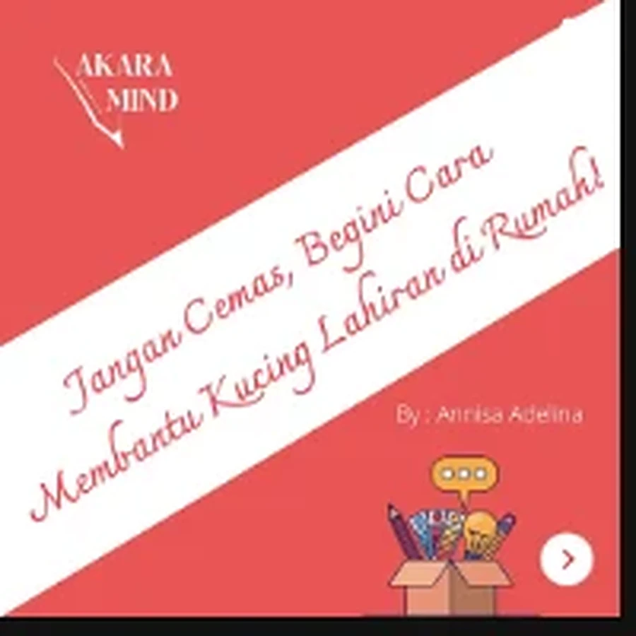 Jangan Cemas Begini Cara Membantu Kucing Lahiran di Rumah Instagram feed design
